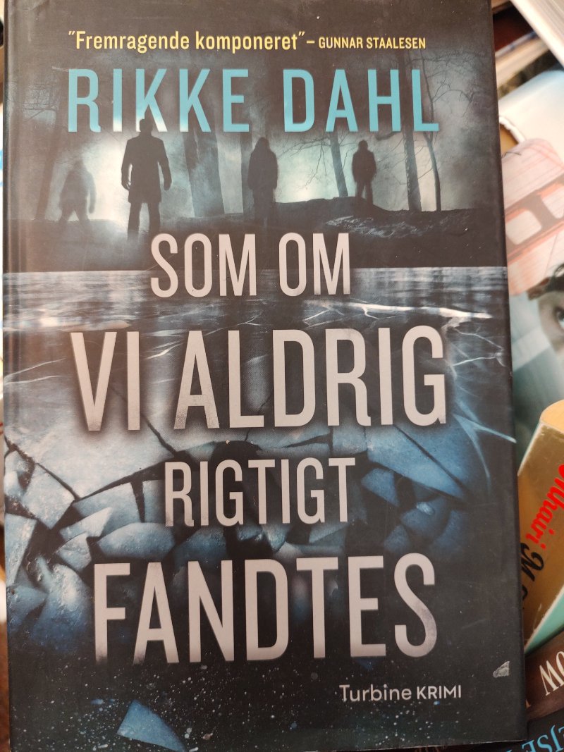 Som om vi aldrig rigtigt fandtes